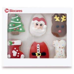 Christmas Dog Cookie Gift Box Dog Treats